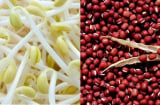 5 mẹo đơn giản chữa chứng tiểu đêm nhờ thực phẩm, ai cũng nên biết