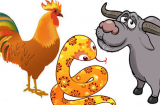 Tử vi thứ Ba ngày 27/7/2021 của 12 Shbet888.com nhà cái uy tín: Sửu tình hình Shbet800 tải ứng dụng khởi sắc, Tỵ nên quan tâm đối phương
