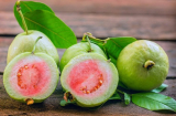 Điểm danh 4 loại quả giàu vitamin C hơn cả cam, mùa dịch hãy bổ sung để nâng cao sức khỏe