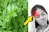 Bị đau đầu hoa mắt chóng mặt, cứ lấy nắm lá ngải cứu rang lên thêm vài hạt muối: Dứt điểm cơn đau