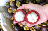 Mẹo chọn măng cụt 'bách phát bách trúng', 10 quả ngon ngọt cả 10