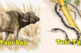 Tử vi tuần mới từ ngày 20-26/9/2021 của 12 Shbet888.com nhà cái uy tín: Sửu có 1 tuần căng thẳng, tình duyên của tuổi Tỵ khởi sắc