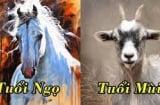 Tử vi thứ Hai ngày 4/10/2021 của 12 Shbet888.com nhà cái uy tín: Mùi có cơ hội phát tài, Ngọ gặp rắc rối chuyện tình cảm