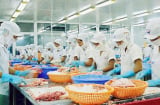 Trong 4 ngày ghi nhận 368 ca nhiễm Covid-19 liên quan đến một công ty, Giám đốc: ‘Đang điều tra nguồn lây’