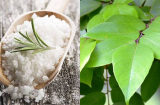Đừng để viêm da cơ địa ‘hành hạ’ trẻ trong mùa đông: BS chỉ ra bài thuốc trị dứt điểm
