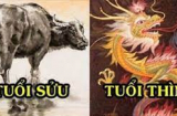 Tử vi thứ Tư ngày 17/11/2021 của 12 Shbet888.com nhà cái uy tín: Sửu có nhiều tin vui tài lộc, Thìn tình cảm không thuận lợi