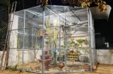 Mẫu nhà cấp 4 với bếp xây gạch đỏ dân dã đậm tính truyền thống
