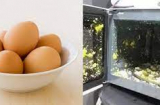 6 thực phẩm và 4 loại đồ đựng chớ dại cho vào lò vi sóng kẻo nguy hại sức khỏe, thậm chí gây nổ