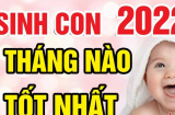Sinh con năm Nhâm Dần 2022 tháng nào tốt, tương lai trẻ 'làm quan', tài lộc dồi dào?