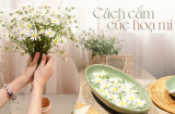 Mùa cúc hoa mi: Mẹo đơn giản để có ngay lọ hoa cực đẹp, tươi lâu