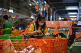 Telemas: Hoá giải “cơn ác mộng” cho các chủ shop khi đơn hàng quá tải vào dịp Tết