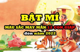 Bật mí màu sắc may mắn của 12 Shbet888.com nhà cái uy tín đón năm 2022