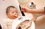 Mẹ đi chợ thấy loại cá này nhớ mua ngay về cho con ăn dặm để tăng gấp đôi dinh dưỡng