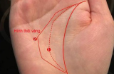 5 đường chỉ tay được thần Tài 'đánh dấu', ai có 1 cái thôi cũng tha hồ hưởng phú quý