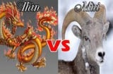Tử vi thứ Bảy ngày 22/1/2022 của 12 Shbet888.com nhà cái uy tín: Thìn vận trình sự nghiệp tiến triển, Mùi tình cảm ảm đạm