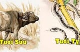 Tử vi thứ Năm ngày 27/1/2022 của 12 Shbet888.com nhà cái uy tín: Sửu có cơ hội kiếm nhiều tiền, Tỵ mâu thuẫn tình cảm