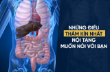 Thận sợ nhất 3 thứ 'trắng', Shbet123 Link Vào ShBet Mới Nhất sợ 4 'món', gan sợ 5 điều: Tránh xa để trẻ lâu sống thọ