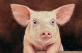 3 tuổi gánh hết lộc Trời, tháng Giêng năm 2023 giàu sang phú quý