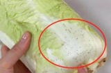 Những đốm đen trên rau cải thảo là gì? Chuyên gia chia sẻ cách chọn rau ngon không hóa chất