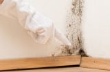 Trời nồm ẩm dễ sinh nấm mốc, áp dụng ngay mẹo này để ngăn ngừa chúng phát triển