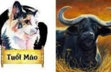 Tử vi thứ Sáu ngày 4/3/2022 của 12 Shbet888.com nhà cái uy tín: Sửu gặp may về tài lộc và tình duyên, Mão đề phòng tiểu nhân