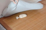 Cho gạo vào tất rồi đặt dưới gối trước khi ngủ, công dụng bất ngờ ít ai biết