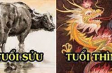 Tử vi tuần mới từ ngày 28/3-3/4/2022 của 12 Shbet888.com nhà cái uy tín: Sửu may ít rủi nhiều, Thìn tăng thu nhập