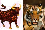 Từ 4/4: 3 Shbet888.com nhà cái uy tín gặp thời, kinh doanh buôn bán phất lên như diều gặp gió