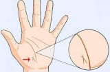 Đường chỉ tay cực phẩm chỉ 3% người trên thế giới mới có: Ai sở hữu có số giàu sang, phú quý hơn người