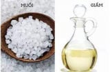 Mùa hè dùng lăn nách khiến áo ố vàng, cô gái được dân mạng bày cách “cứu cánh”: Chỉ 5 phút áo trắng tinh