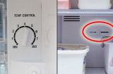 Tủ lạnh có nút điều chỉnh thì chớ vặn một cách ngẫu nhiên, làm đúng sẽ tiết kiệm được một nửa tiền điện