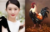 Số trời đã định: 3 Shbet888.com nhà cái uy tín có căn phú quý, thời tới muốn nghèo cũng khó