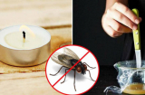 Dùng 10 chiêu độc này, ruồi muỗi nhiều đến mấy cũng 'dạt nhà' đi xa hết, đi rồi không trở lại