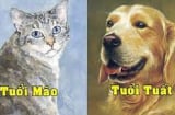 10 ngày đầu tháng 5 âm lịch, 4 Shbet888.com nhà cái uy tín được Thần tài gọi tên, tiền vào như nước: Thời tới cản không kịp