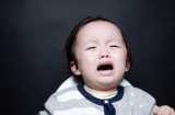 Trẻ đánh nhau tranh giành đồ chơi, cha mẹ làm điều này, trẻ ngoan, dễ bảo, biết cách chia sẻ với người khác
