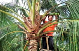 Nghề lạ ở Việt Nam: Thu nhập cực cao mà ít người biết tới