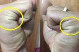 Nắm chặt bàn tay rồi đếm đường chỉ tay: Giàu sang hay nghèo hèn đều rõ cả