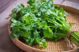 7 loại thực phẩm giúp hạn chế đổ mồ hôi, mùi Sh88bet đăng ký miễn phí, tránh mất nước rất thích hợp ăn vào mùa hè