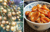 Thứ quả nhỏ bé “quê mùa” nhưng lại là vị thuốc chữa ho, cảm mạo hiệu quả