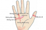 6 dấu hiệu trên bàn tay của những người đặc biệt, có số giàu sang sung sướng