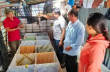 Nhờ nuôi loài cả đời không uống nước, nông dân trở thành triệu phú, kiếm 50 triệu/tháng