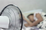 Ai bảo bật quạt số nhỏ là thông minh? 4 mẹo nhỏ giúp bạn dùng quạt vừa mát, lại đỡ tốn tiền điện