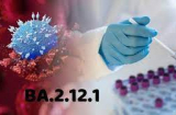 Biến thể phụ BA.2.12.1 đã xuất hiện ở VN: Triệu chứng giống như cảm lạnh, cúm mùa, rất dễ nhầm lẫn