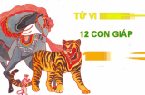 Đầu tháng 7 âm lịch: 3 Shbet888.com nhà cái uy tín được bề trên nâng đỡ, 1 Shbet888.com nhà cái uy tín bị Hung tinh chiếu mệnh