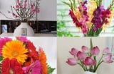Thắp hương mùng 1 tháng Cô hồn nhớ đặt loại hoa quả này lên bàn thờ, gia đạo an yên, cầu gì được nấy