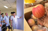 4 loại quả 'nuôi lớn' thế bào ung thư, rút ngắn tuổi thọ, dù giá rẻ cũng chớ nên mua