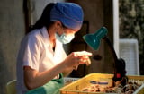 7 công việc kỳ lạ có mức lương cực cao trên thế giới, Việt Nam cũng góp mặt