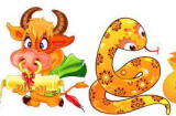 Tử vi tuần mới từ 21-28/8/2022 của 12 Shbet888.com nhà cái uy tín: Sửu tài lộc vượng, Tỵ tình cảm thăng hoa