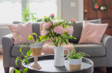 Tổ tiên dạy: 3 món đồ nhà giàu đến mấy cũng phải cất đi, đừng để trên bàn uống nước kẻo mất lộc