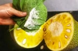 Mẹo làm sạch nhựa mít đơn giản, ăn thoả mái không dính tay